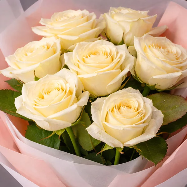 Кремовые ноты - букет белых роз